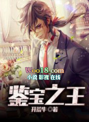 鉴宝之王小说